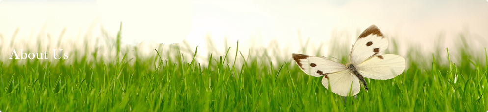 aboutus